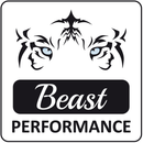 2x70mm DuplexMercedes W204 C63 AMG