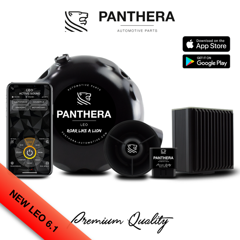 Panthera LEO ASC 6.1 ACTIVE SOUND SYSTEM + BOOST