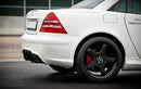 Maxton Design Heckstoßstange MERCEDES SLK R170 AMG204 LOOK - Beast Performance Fahrzeugtechnik OHG