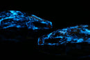 Shift Paddles - Luminous Blue für VW GOLF MK7.5 2.0 TSI R - Beast Performance Fahrzeugtechnik OHG