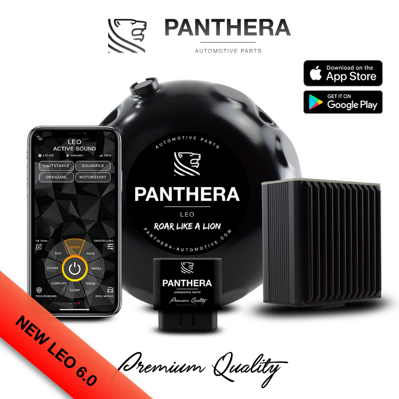 Panthera LEO ASC 6.0 ACTIVE SOUND SYSTEM