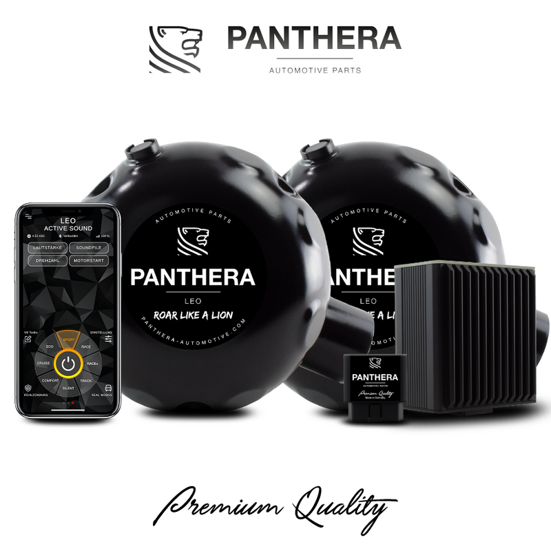 Panthera LEO ASC 6.0 ACTIVE SOUND SYSTEM